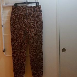 Ann Taylor skinny Leopard chords 12